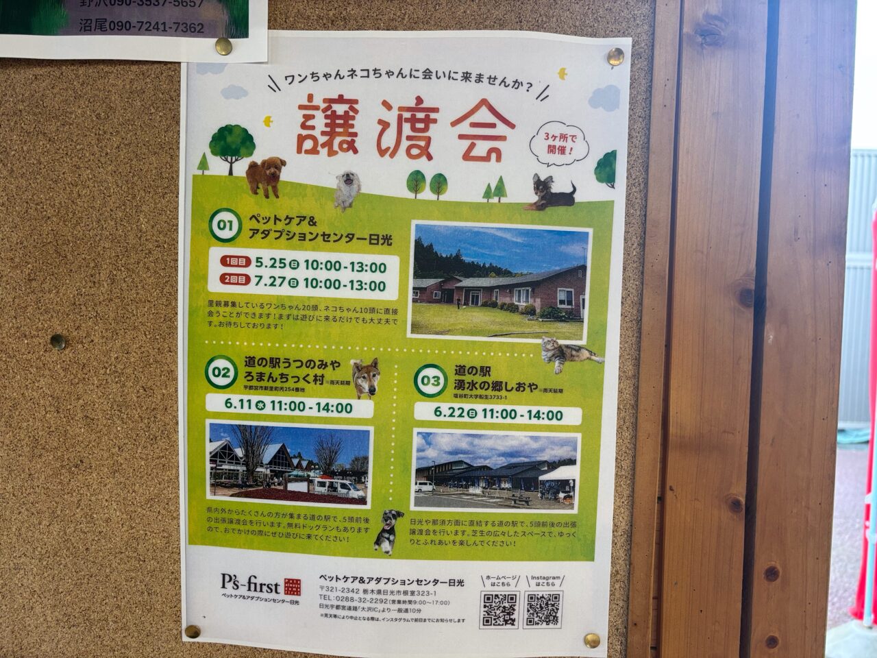 譲渡会 3ケ所で開催