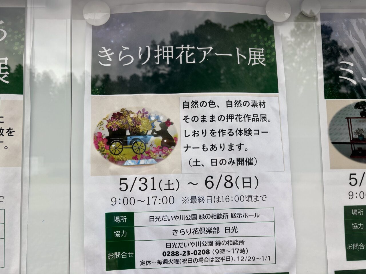 きらり押し花アート展