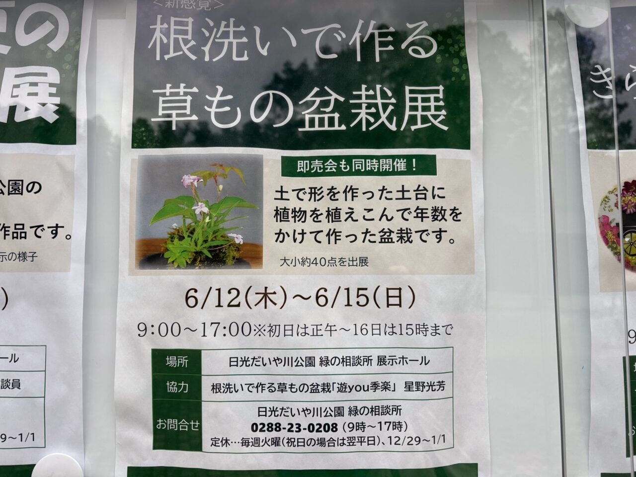 展根洗いで作る草もの盆栽展