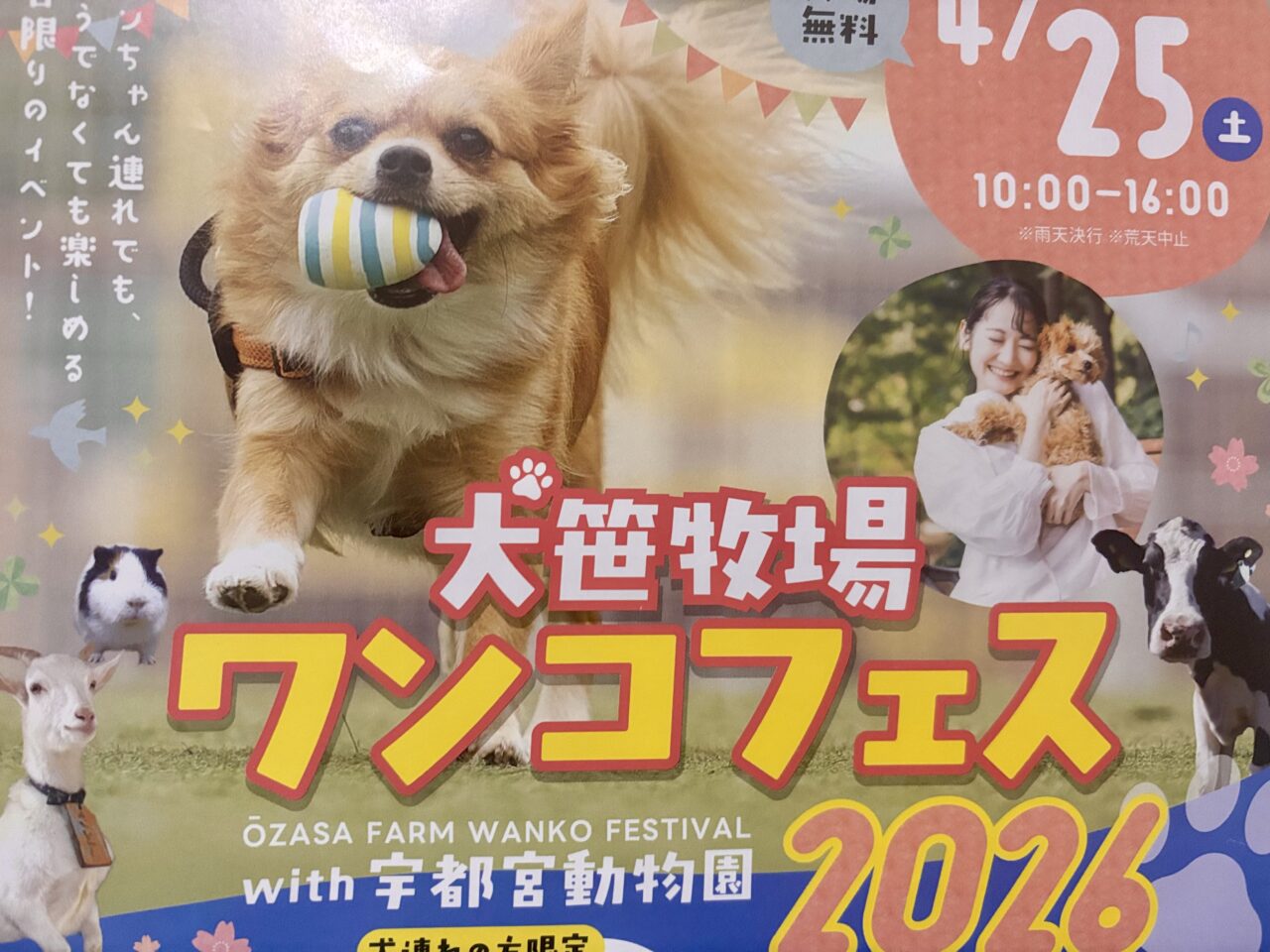 大笹牧場ワンコフェス2026