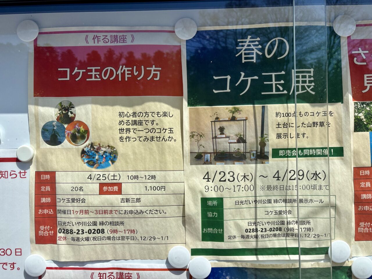 春のコケ玉展