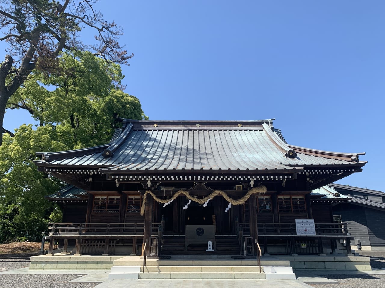 焼津市の焼津神社大祭