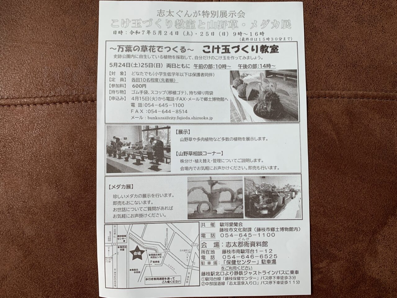 藤枝市のこけ玉つくり