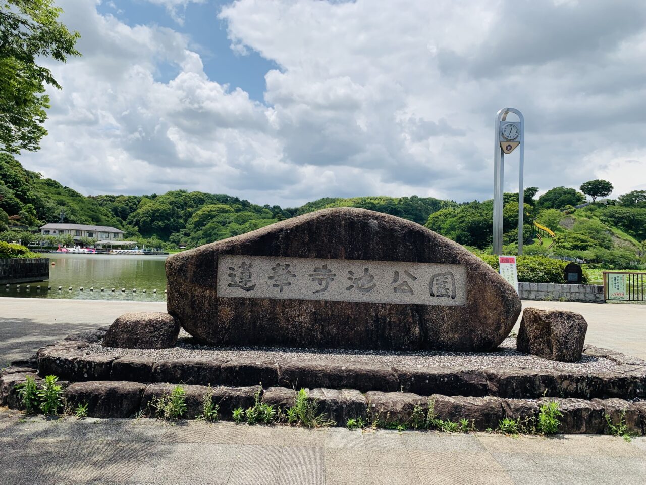 藤枝市の蓮華寺池公園