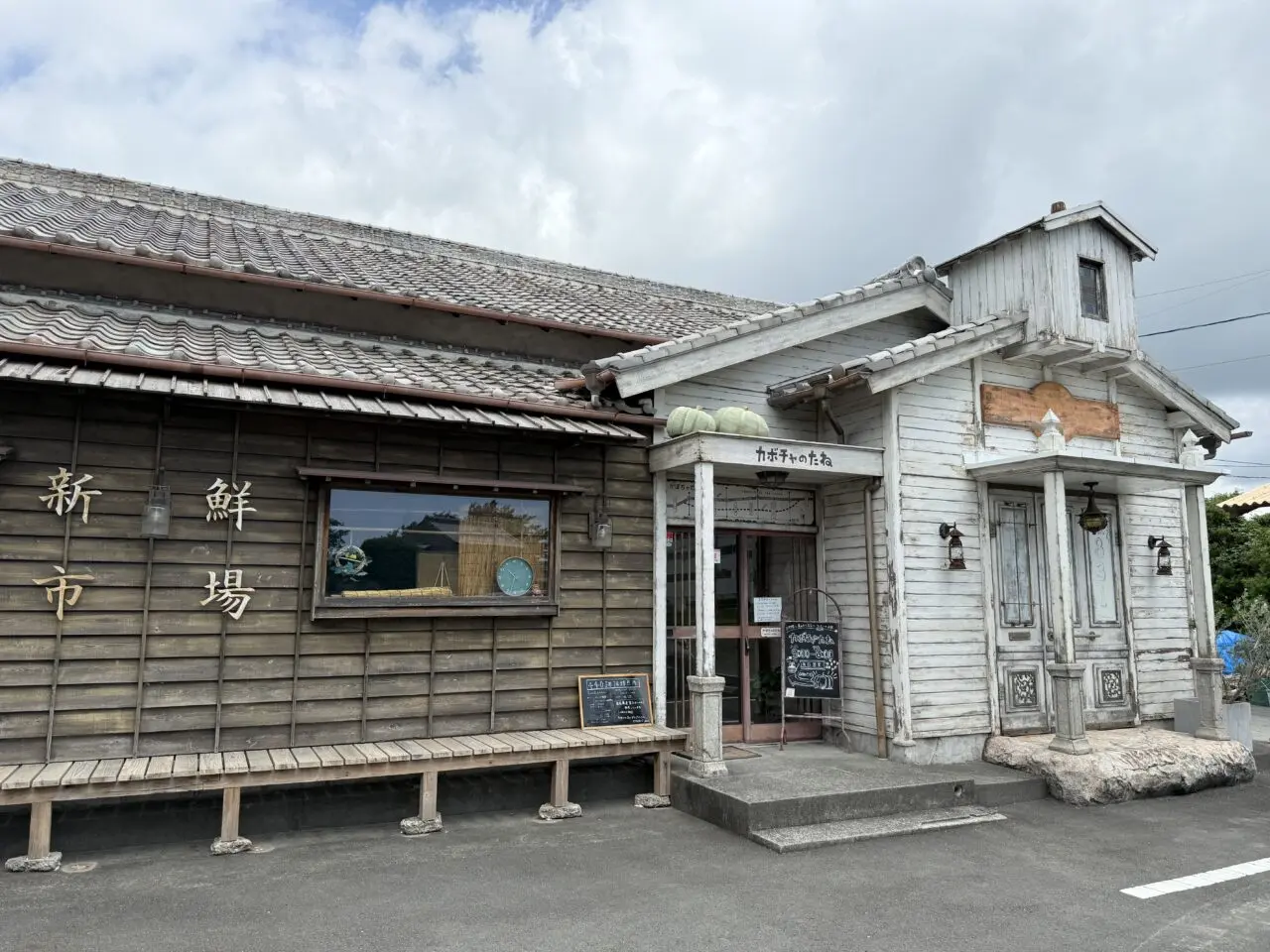 焼津市のカボチャのたね
