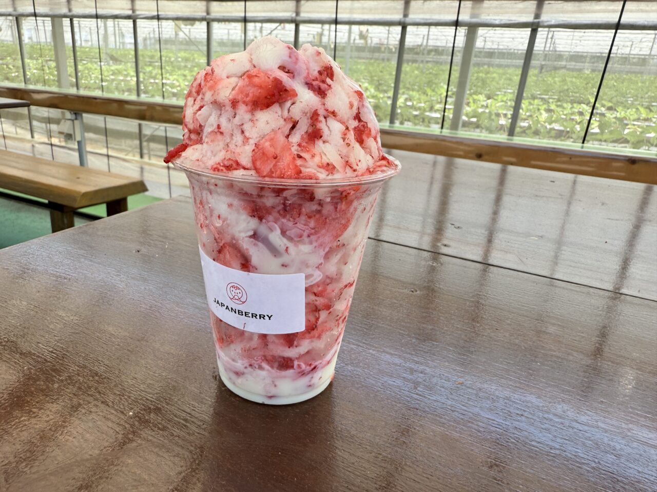 藤枝市のジャパンベリー