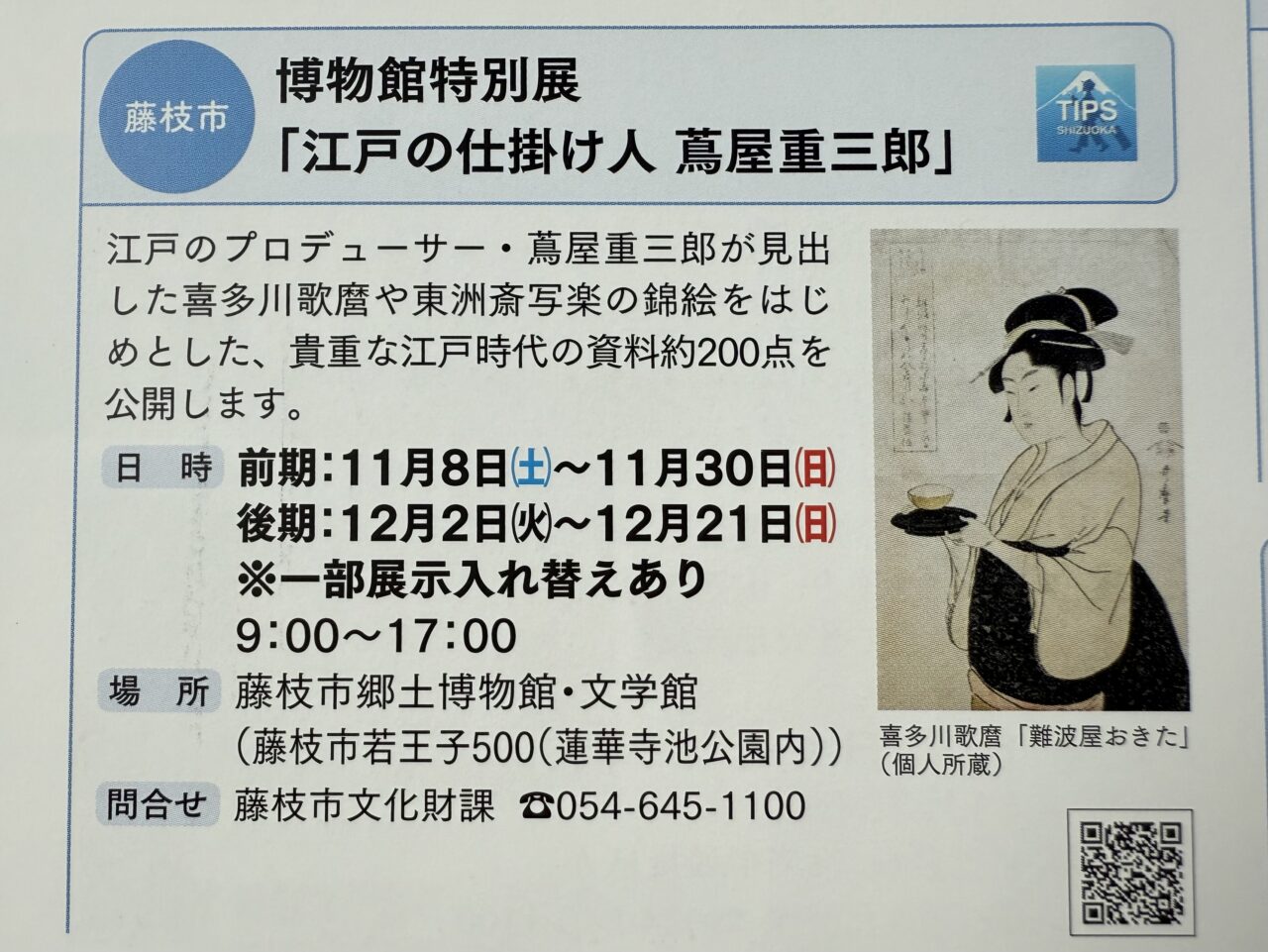 藤枝市の江戸の仕掛け人
