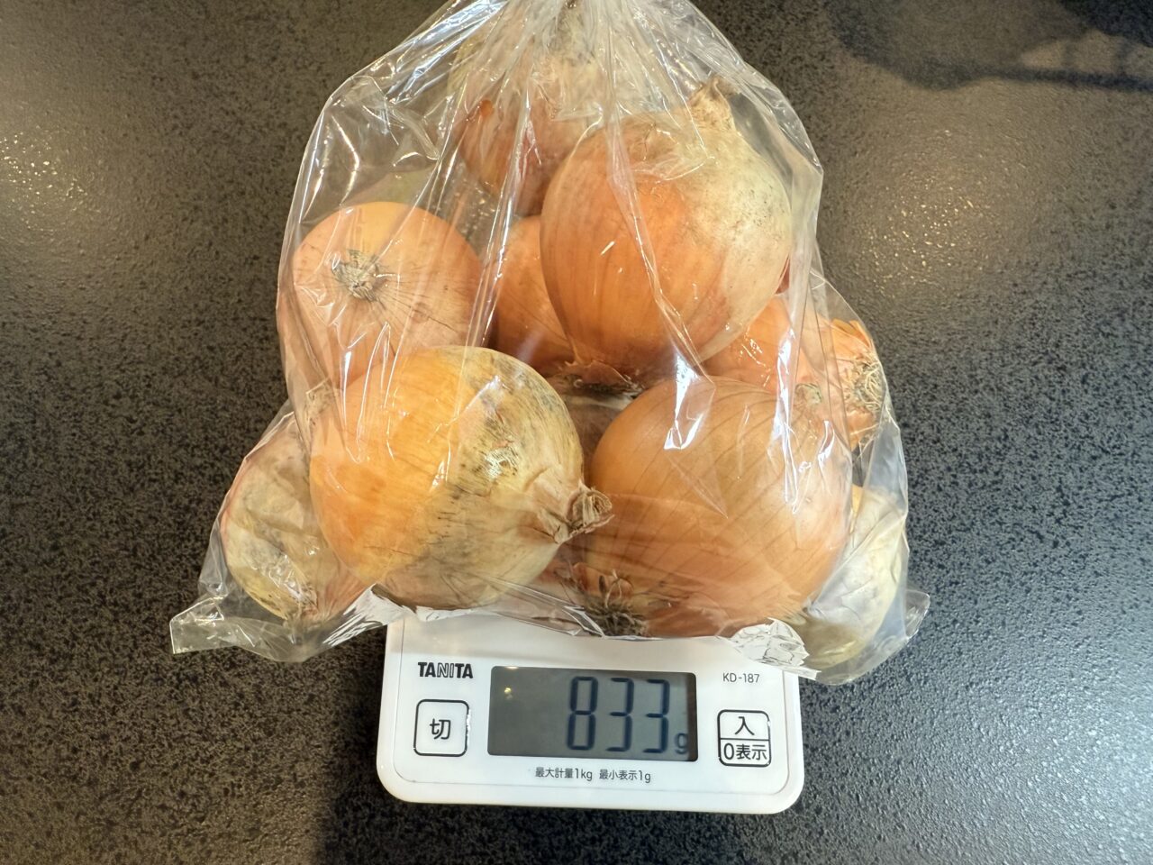 焼津市のカボチャのたね