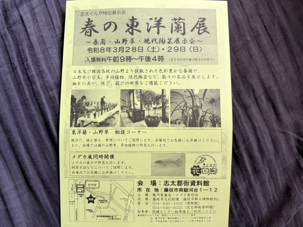 藤枝市の春の東洋蘭展