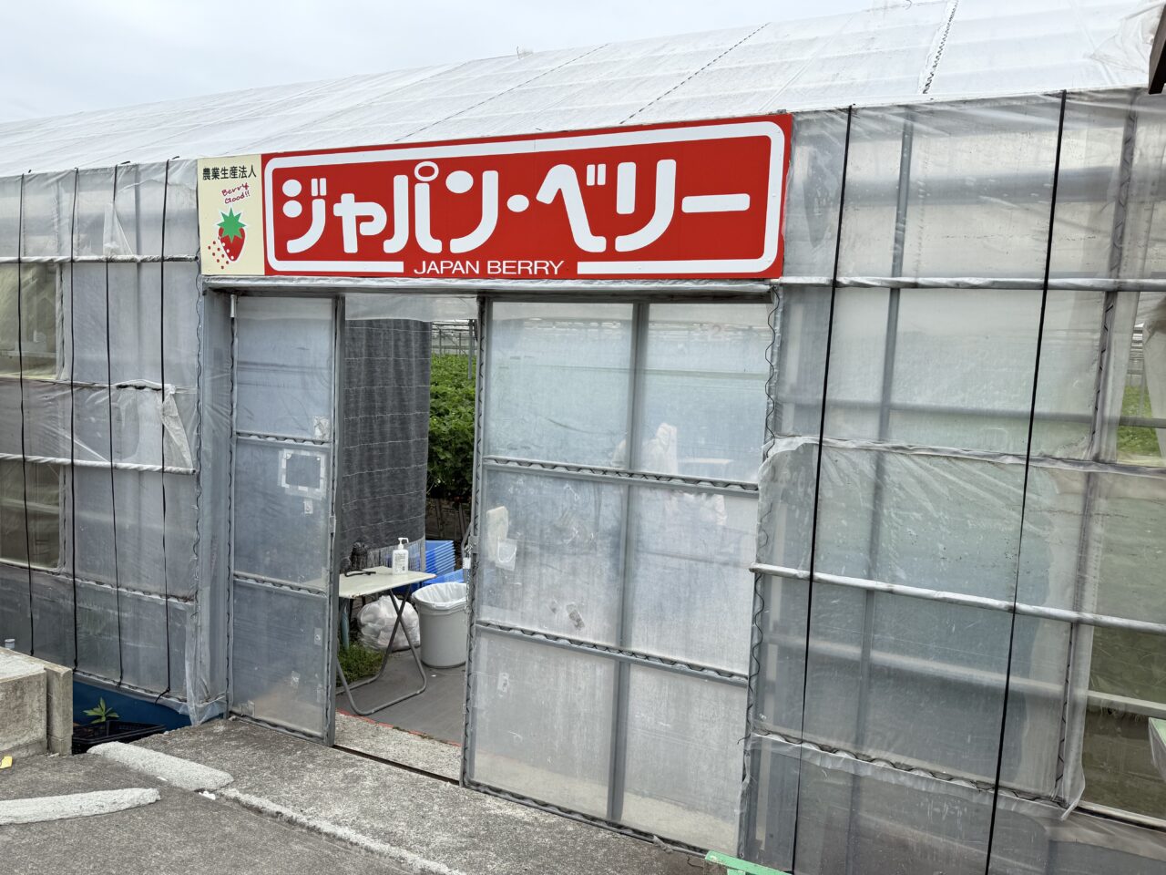藤枝市のjapanberry