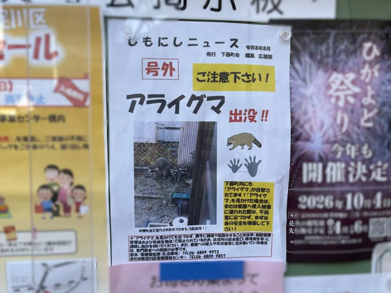 下西町のアライグマ出没情報
