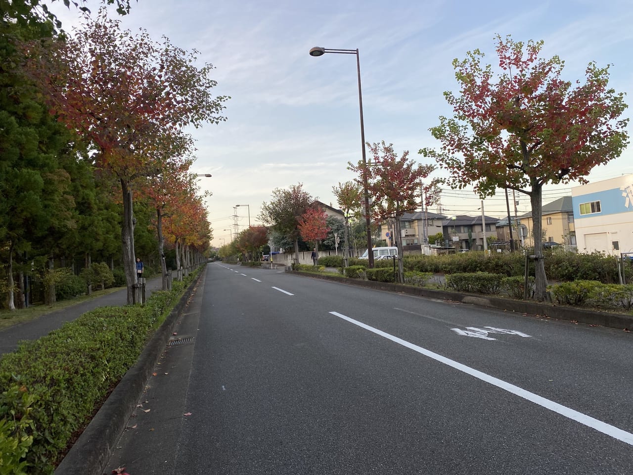 京田辺市の街並み