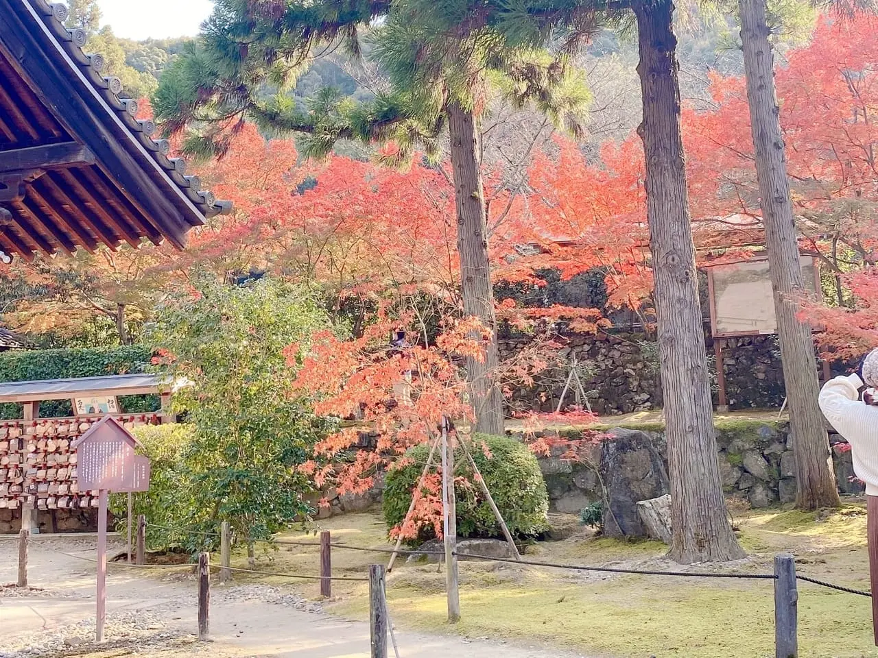 一休寺の紅葉