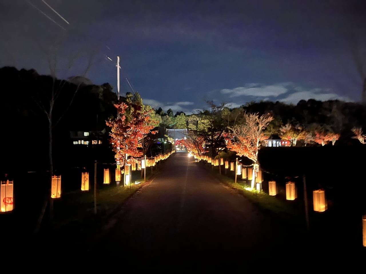 大御堂観音寺ライトアップ