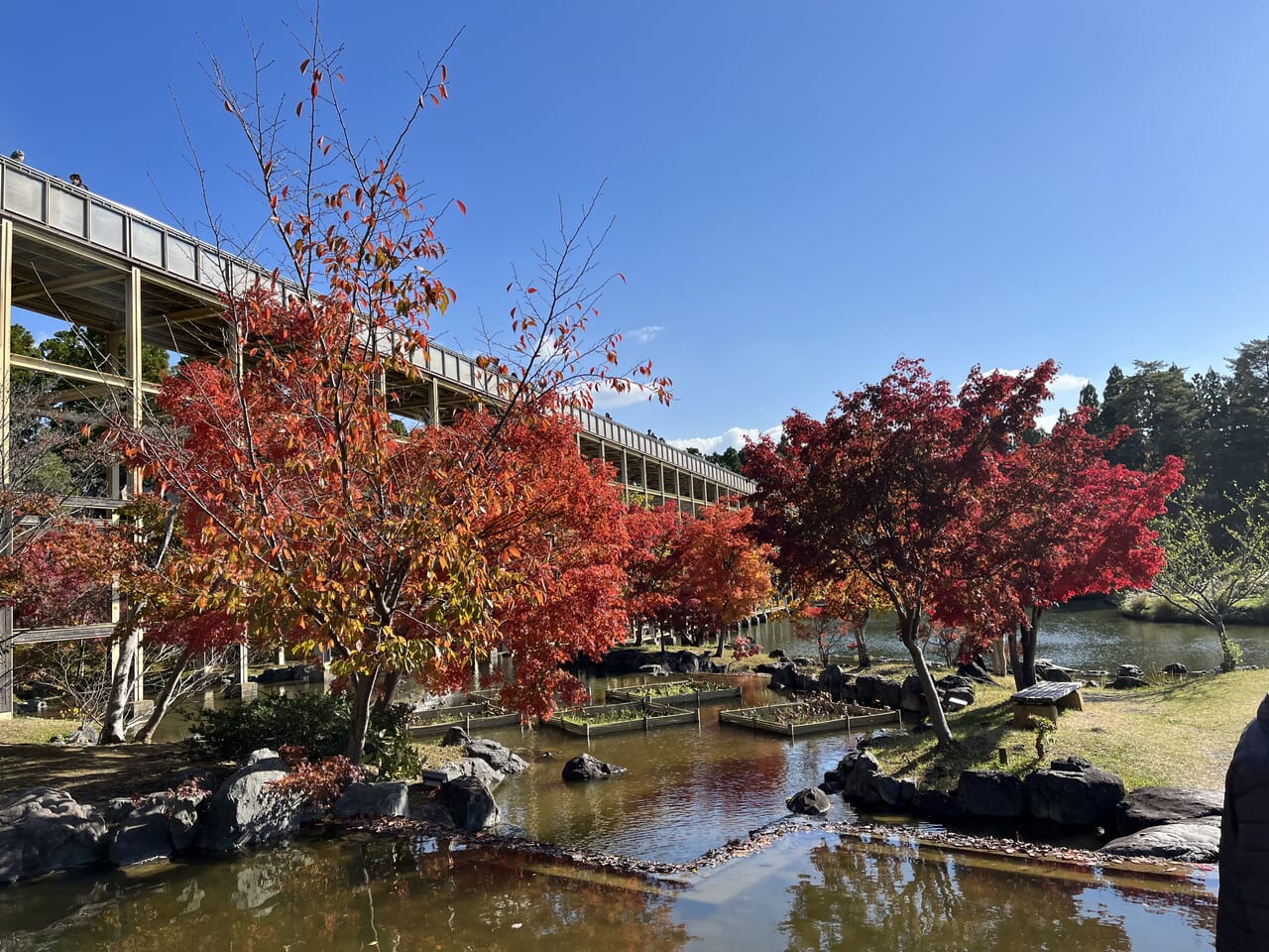 記念公園