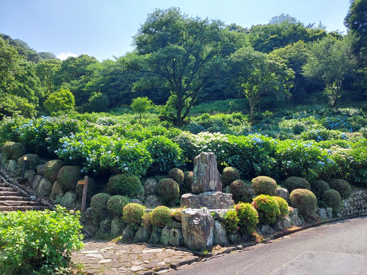 月見の森