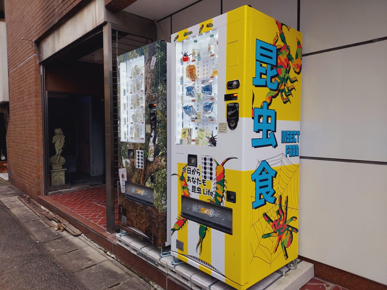 昆虫食自動販売機