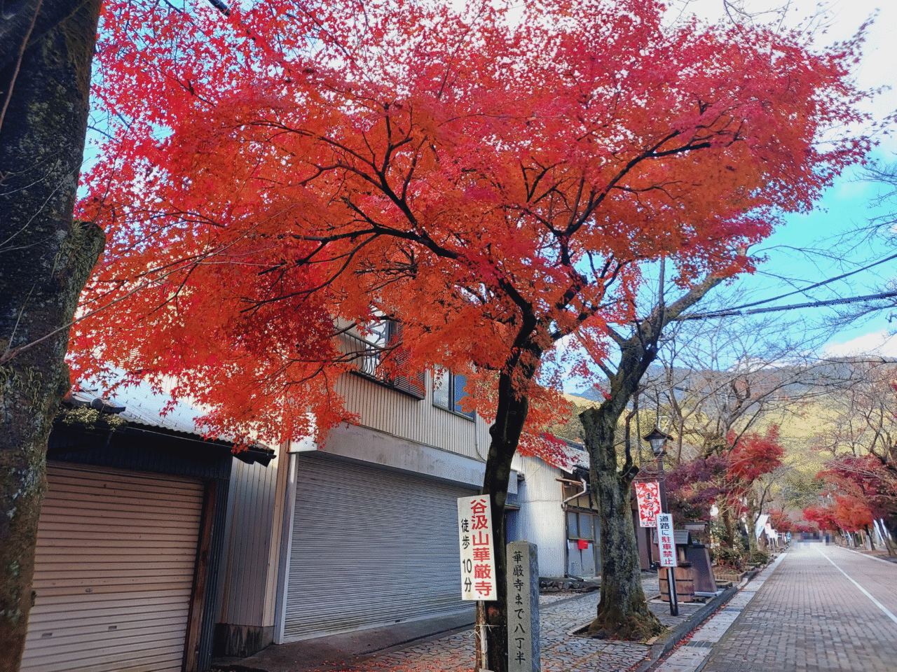 谷汲山華厳寺紅葉