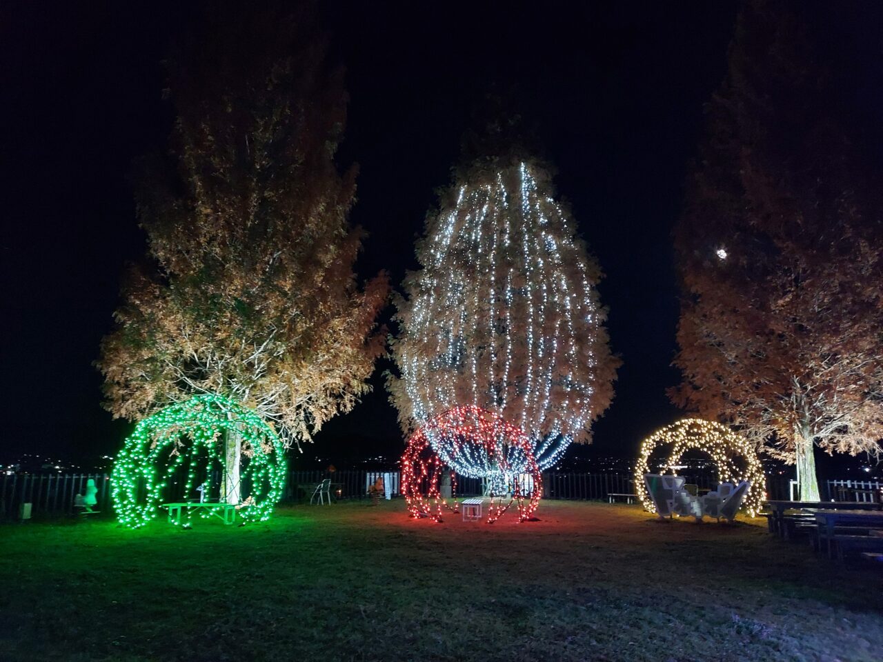 道の駅池田温泉のイルミネーション
