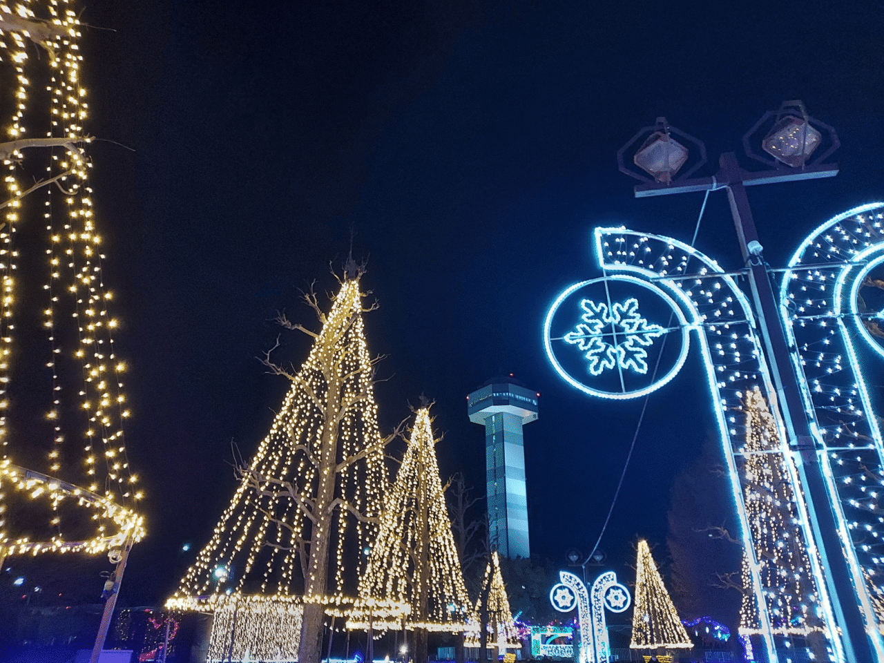 木曽三川公園センター　イルミネーション