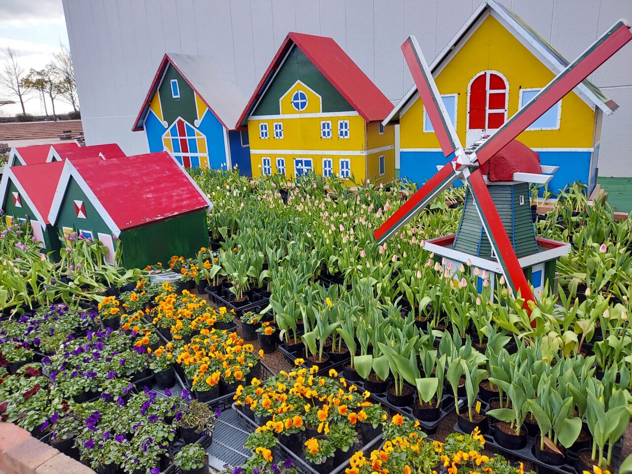 木曽三川公園センターアイスチューリップ