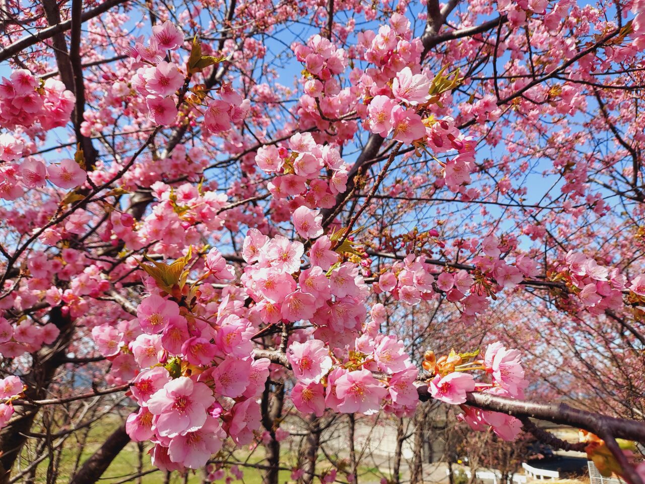 杭瀬川スポーツ公園