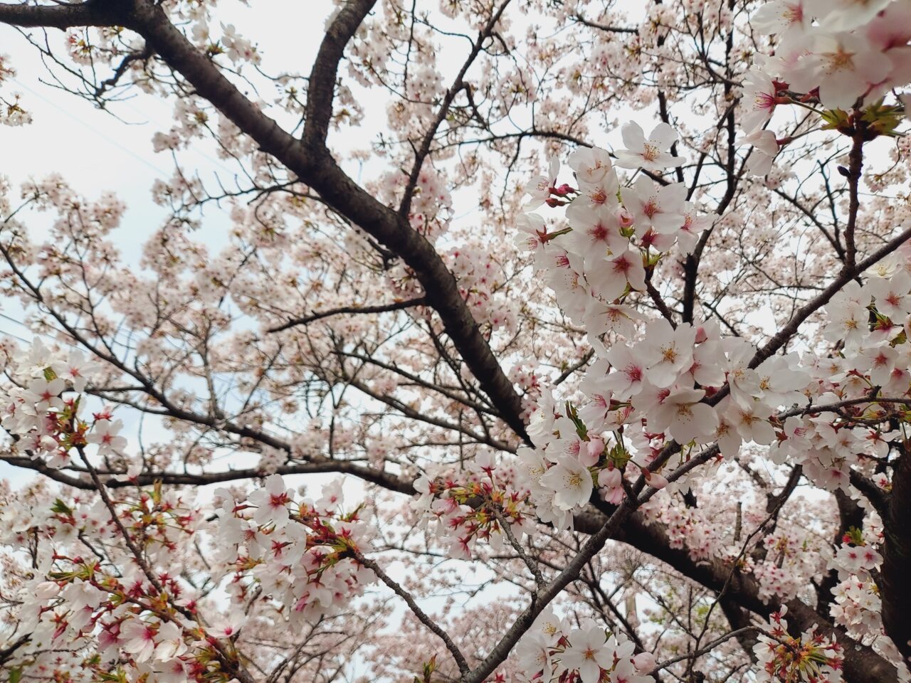 羽根谷だんだん公園