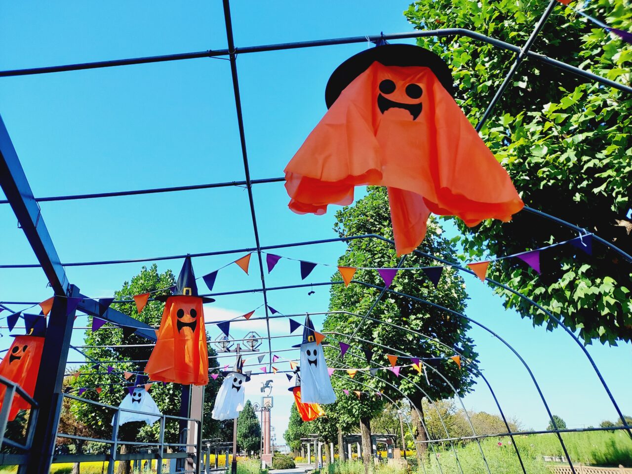 ハロウィーンストリート
