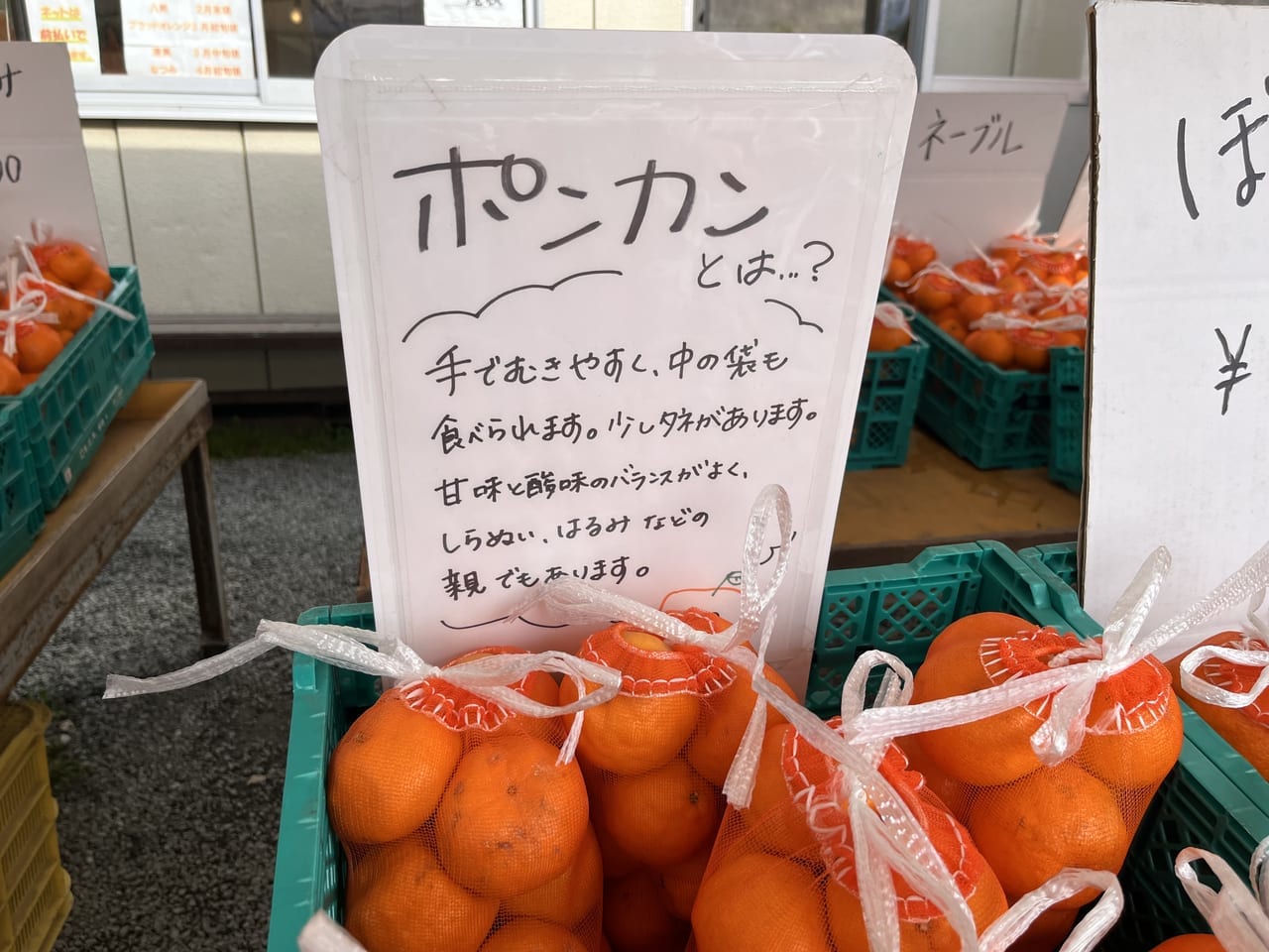 丸富青果柑橘の説明