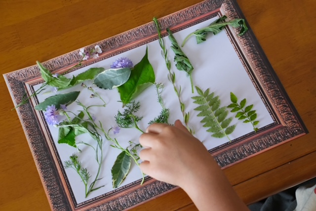 野草教室