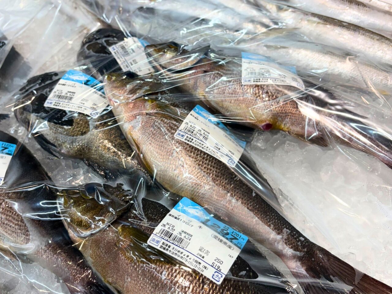 【今治市】旬を満喫しよう! 人気の直売所「さいさいきて屋」で夏を感じられる食材が多数販売中!