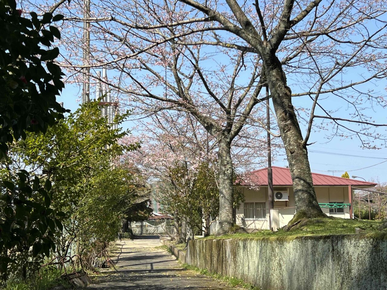 石根ふれあい公園