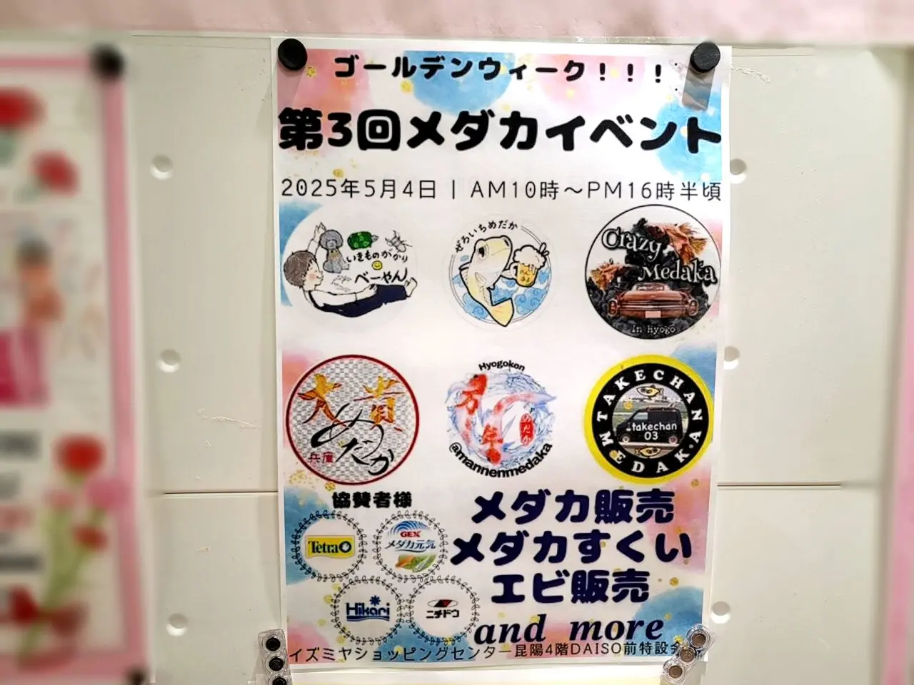 メダカイベント