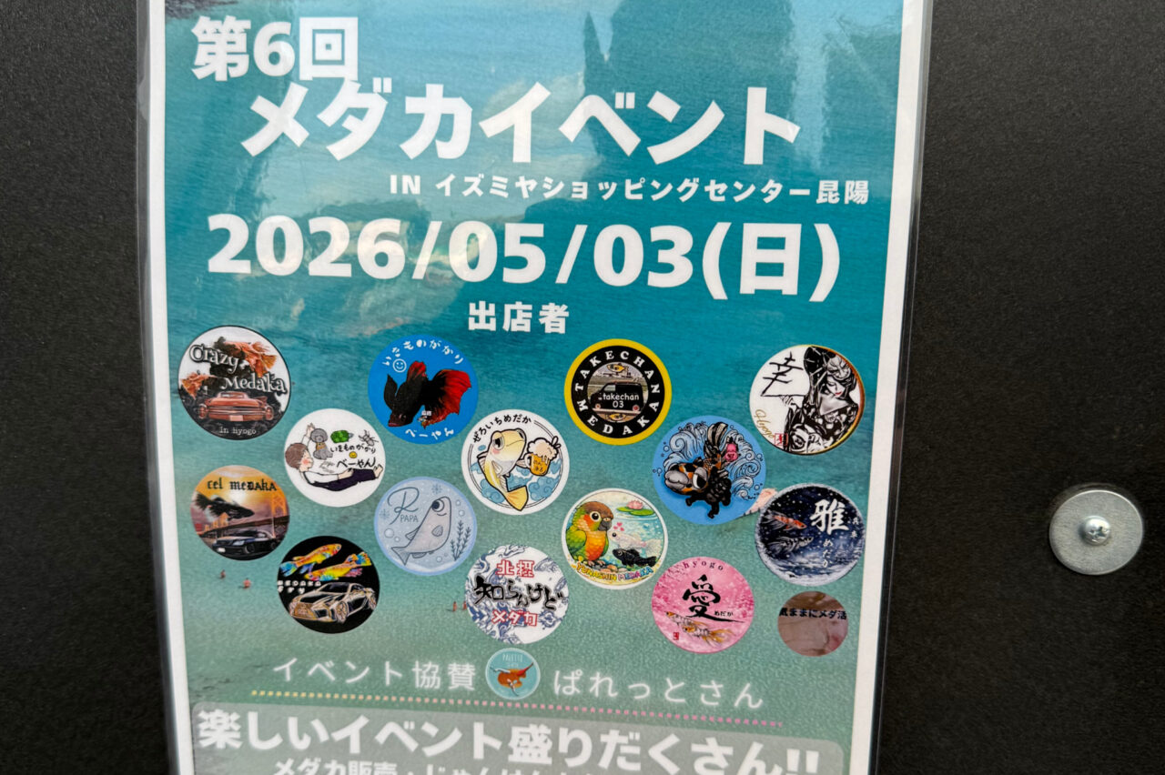 メダカイベント