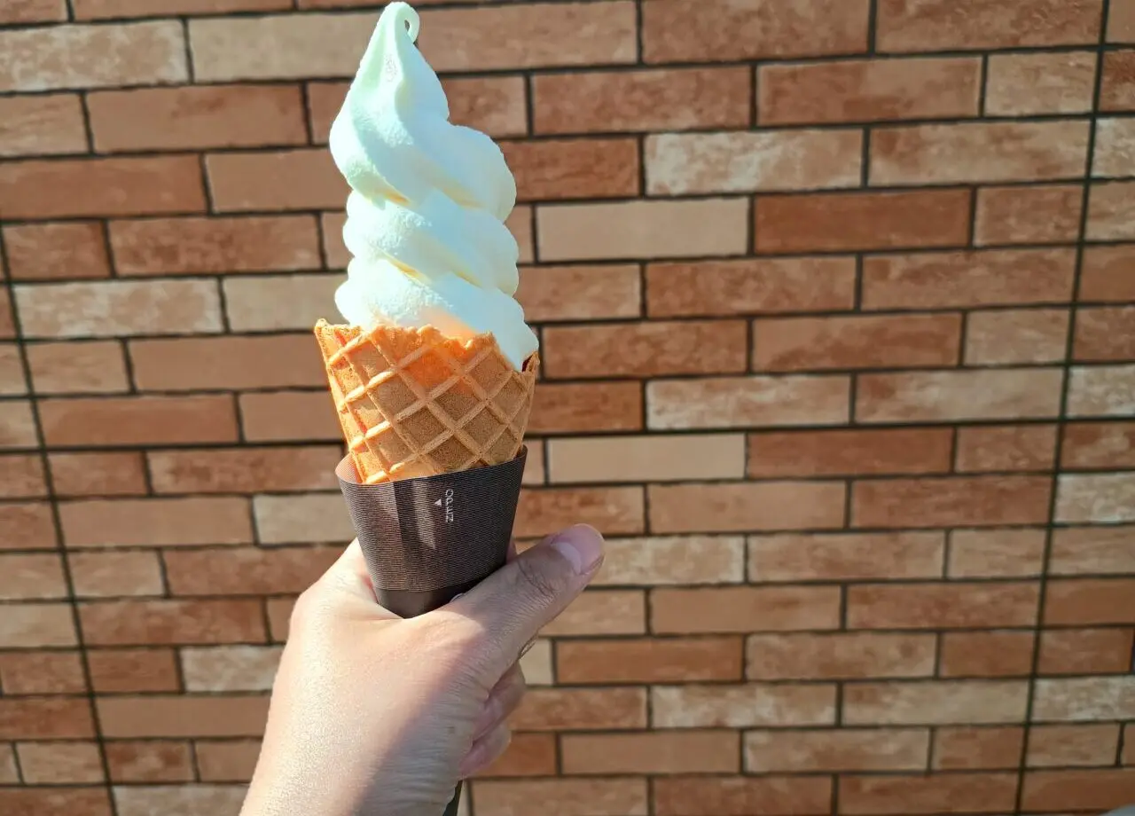 セブンイレブン南7条