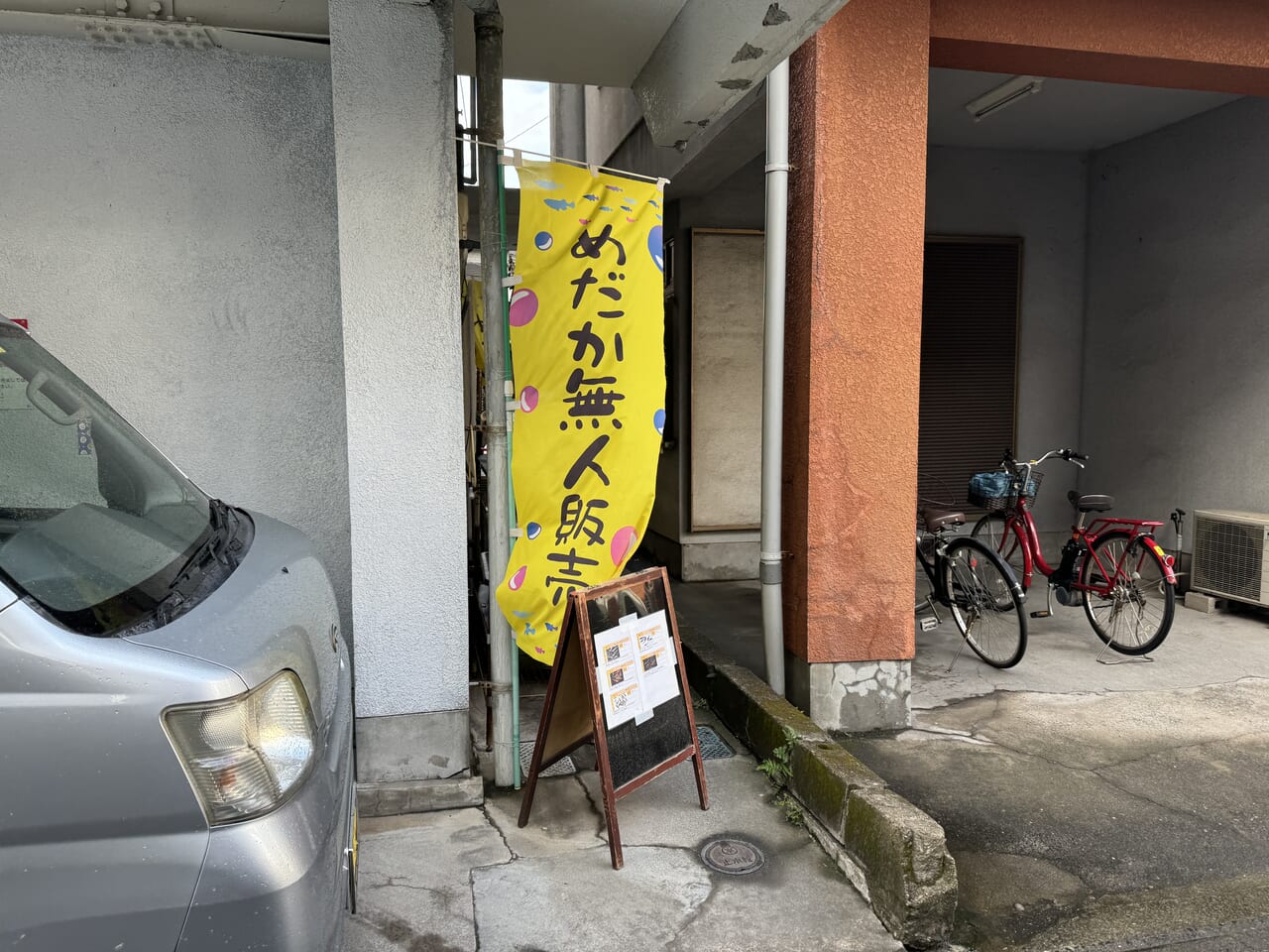 メダカ