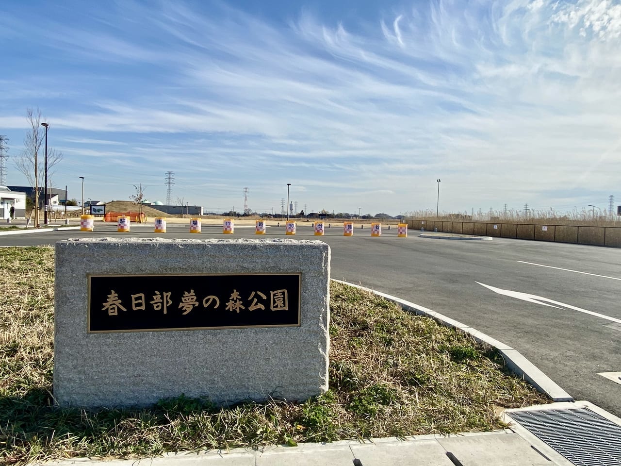 「春日部夢の森公園」
