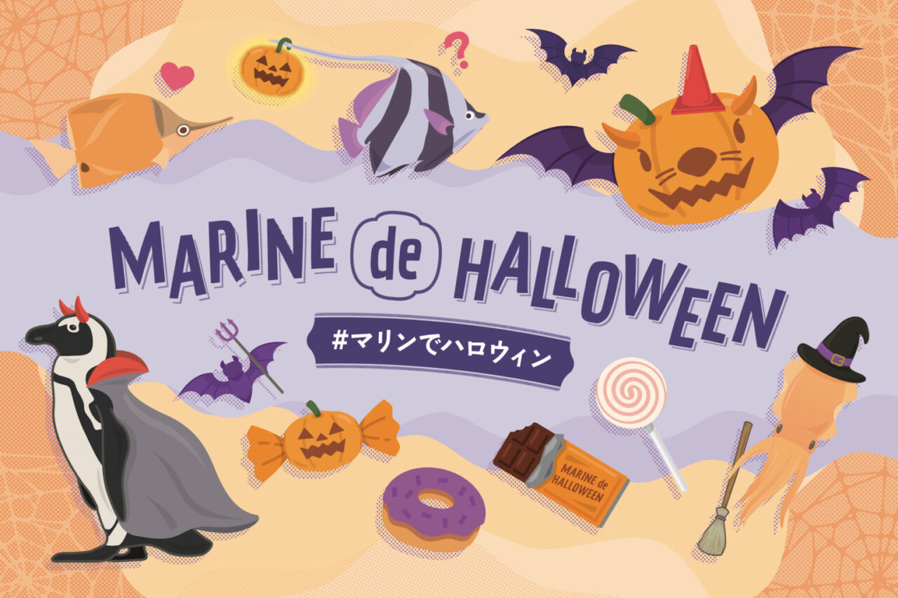 2024年10月1日(火)～10月31日(木)に、マリンワールド海の中道にて「マリンでハロウィン」が開催予定です。2024年10月26日(土)には、1日限定「ハロウィンナイト」開催予定です。