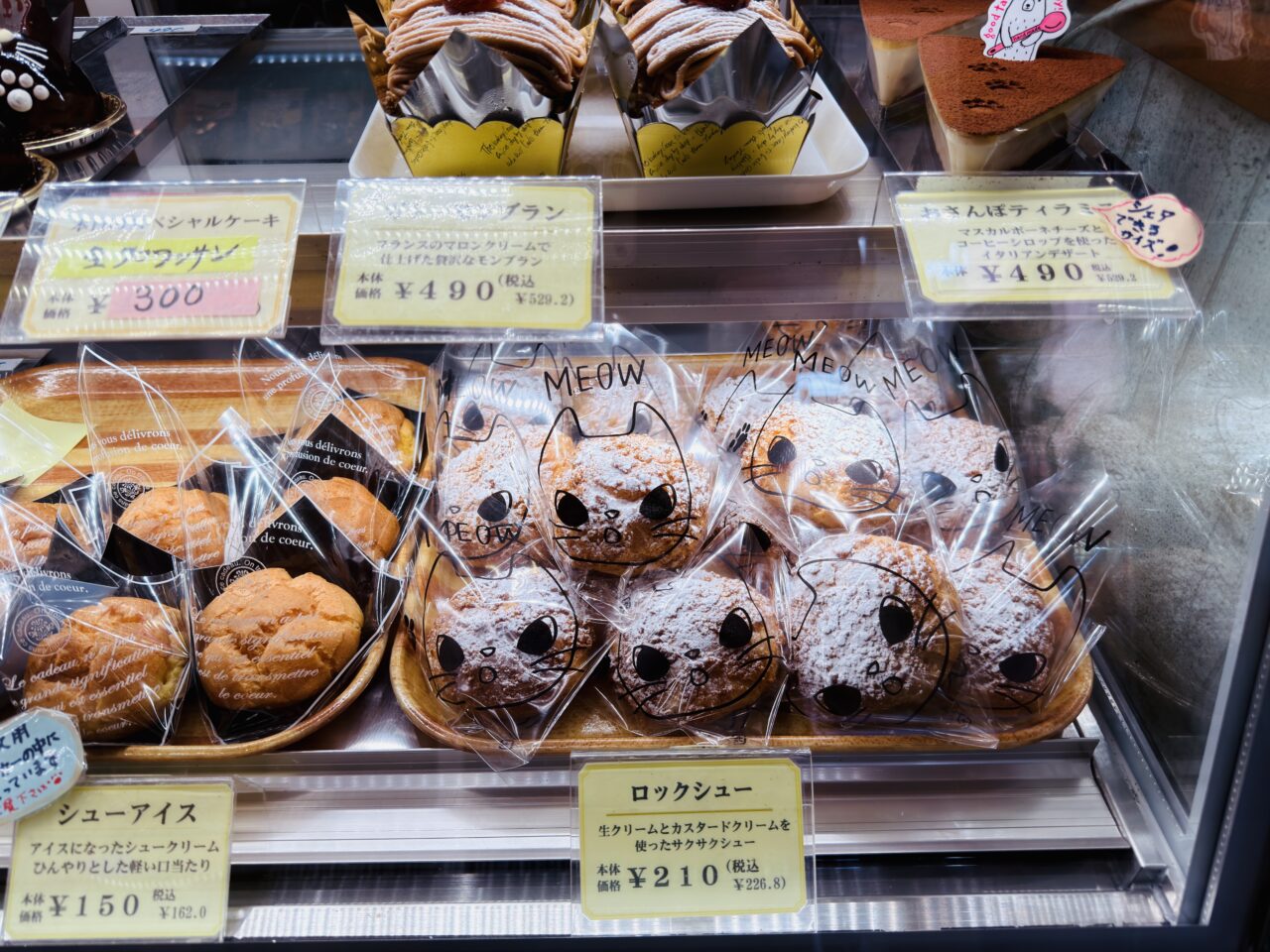 2026年2月22日猫の日のみやま市のふぉれすときゃっと