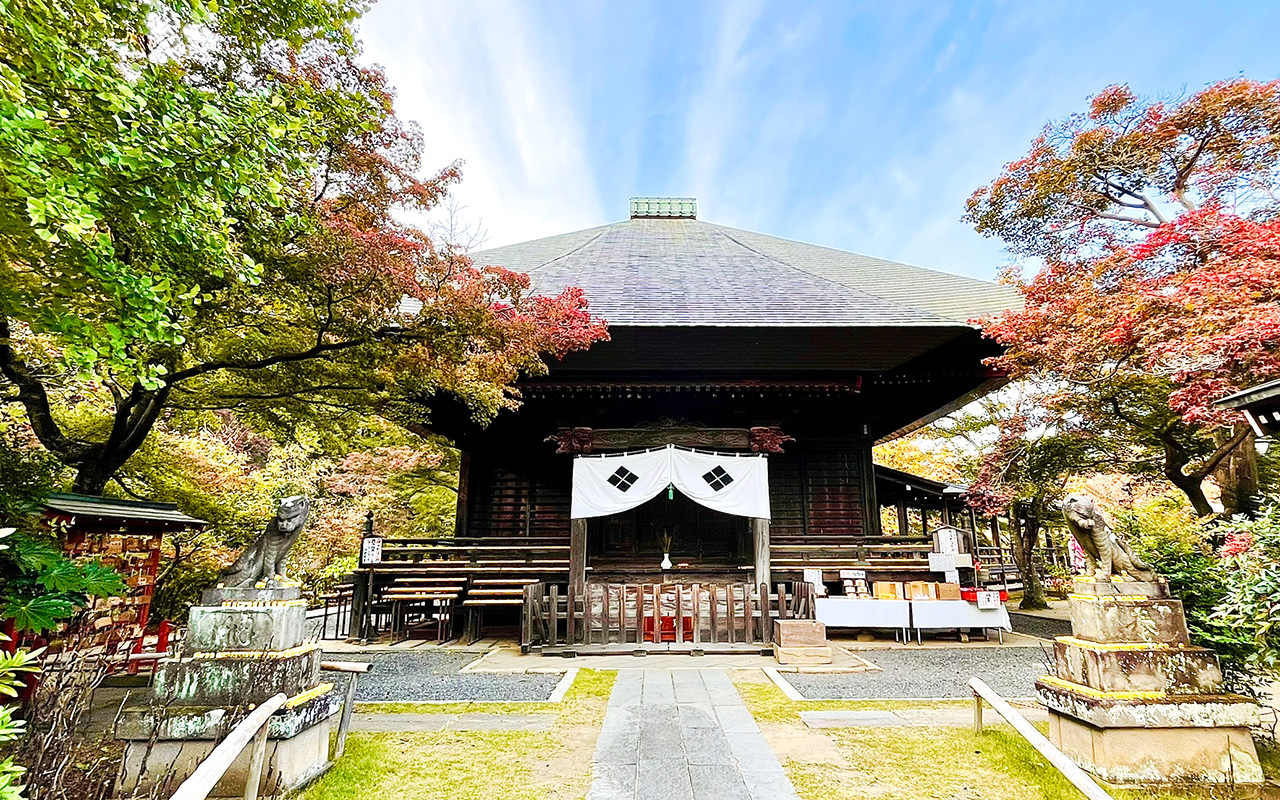 色付きはじめの多聞院の境内
