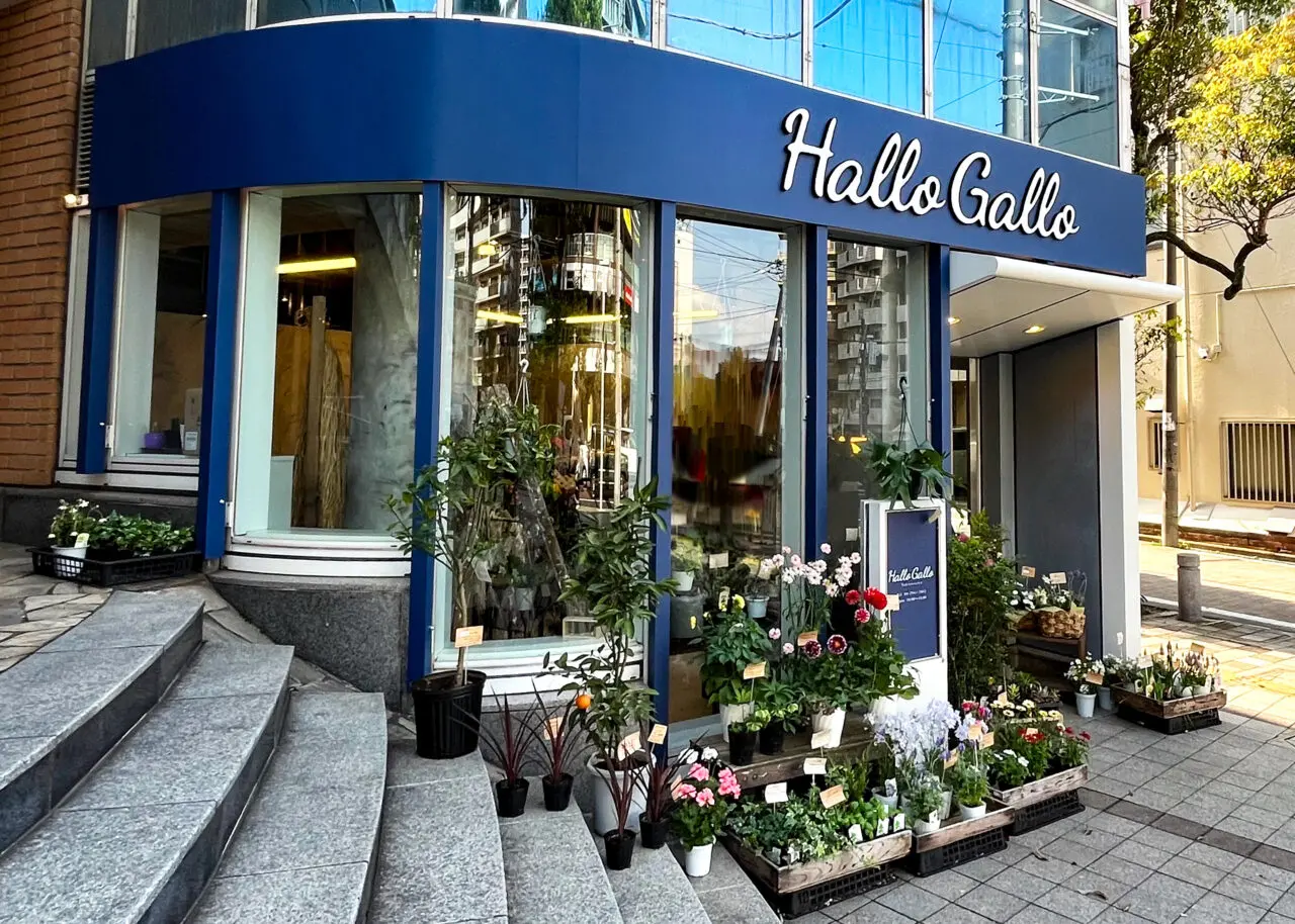 Hallo Gallo 所沢店