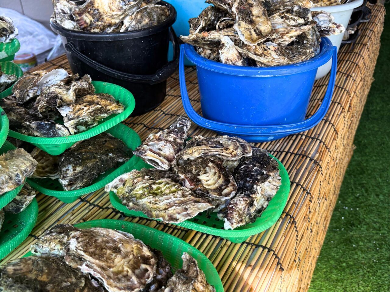 【今治市】宮城産の牡蠣を満喫! 「出張カキ小屋 牡蠣奉行」に行ってみました!