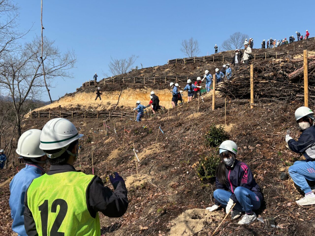 【今治市】朝倉に緑を取り戻そう! 林野火災後の森を取り戻す植樹活動に密着。