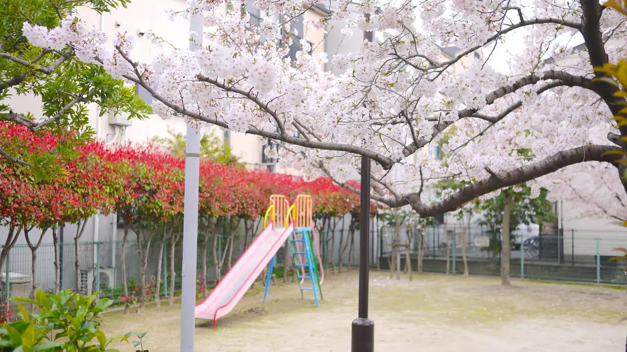 高柳栄町の桜
