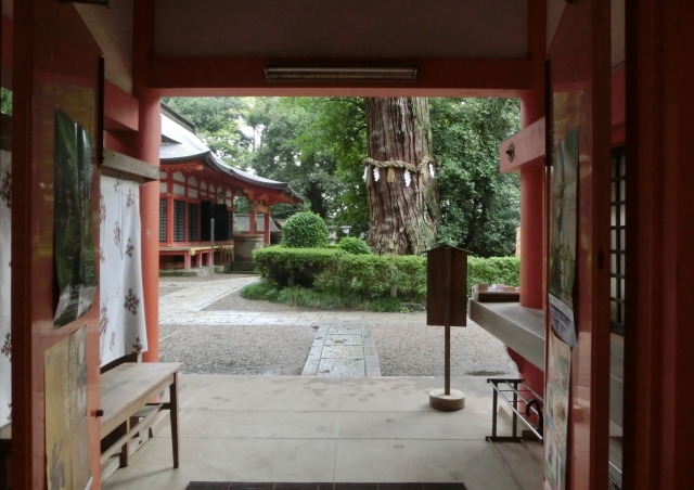 夏の茅の輪