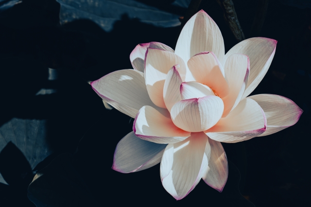 熱中！没頭！興味津々 仏教美術の世界