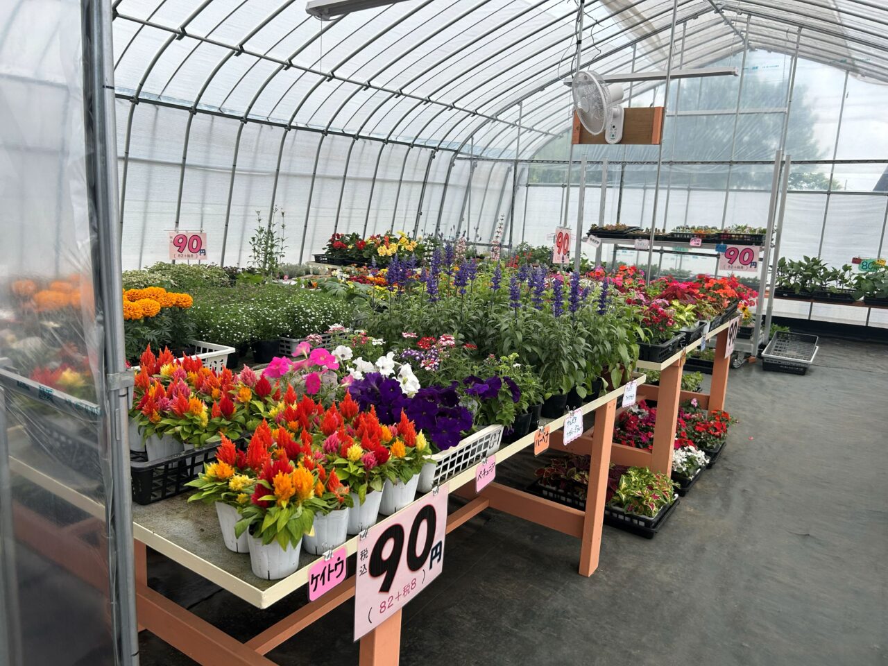 花shopm3