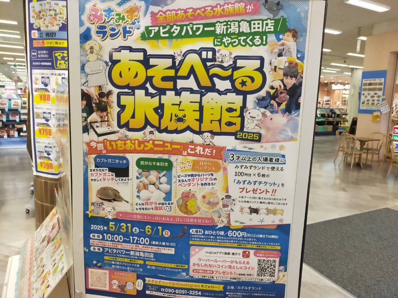 アピタ水族館