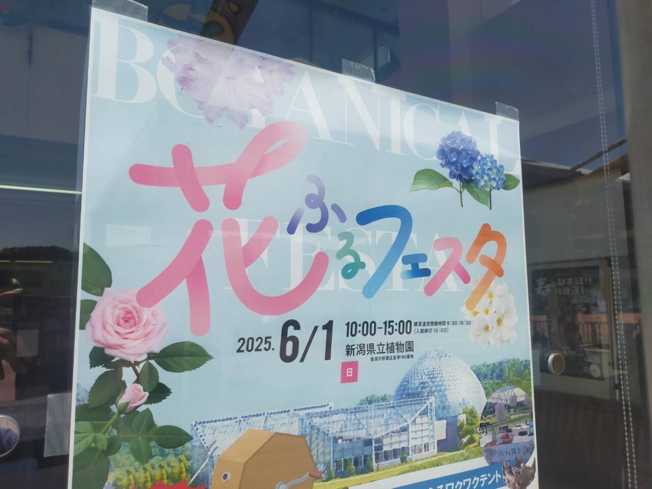 花フェスタ