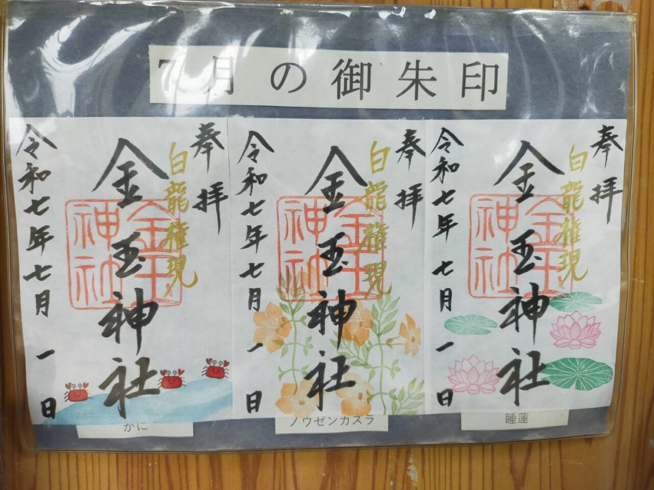金玉7月